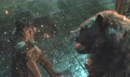 人兽视频在线观看,人兽视频在线观看之旅